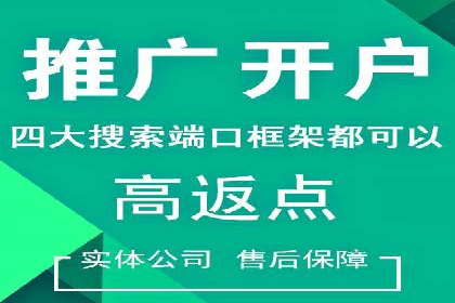 SEM服务公司助力品牌崛起案例