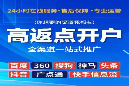 SEO与百度推广结合的营销策略——经典案例解析